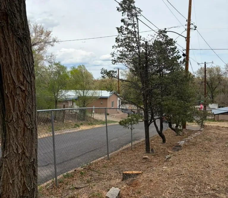 The same Las Vegas, NM property line after tree removal, stump visible