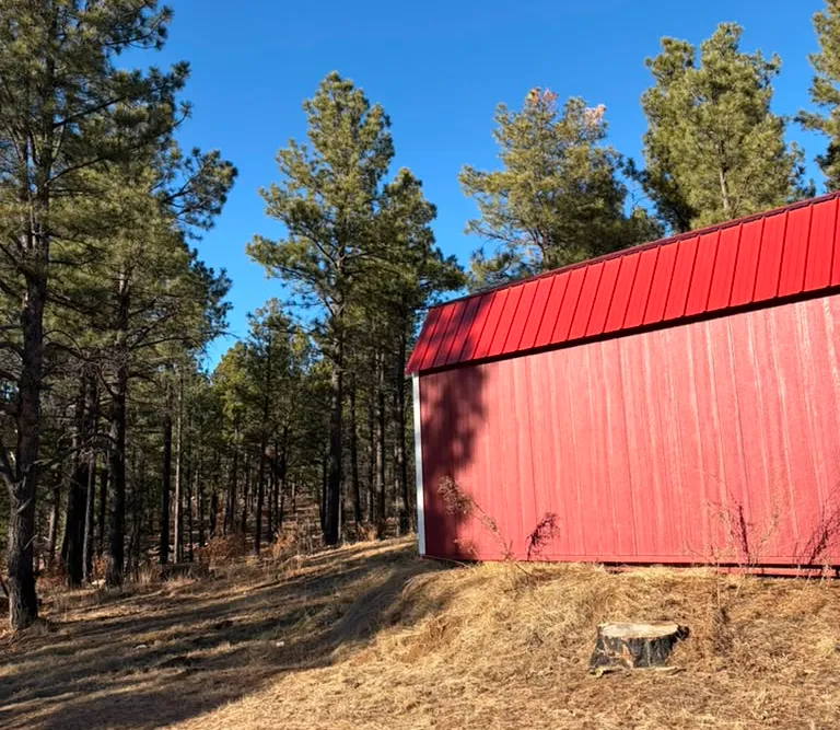 The same Las Vegas, NM property, cleared and safe after tree removal