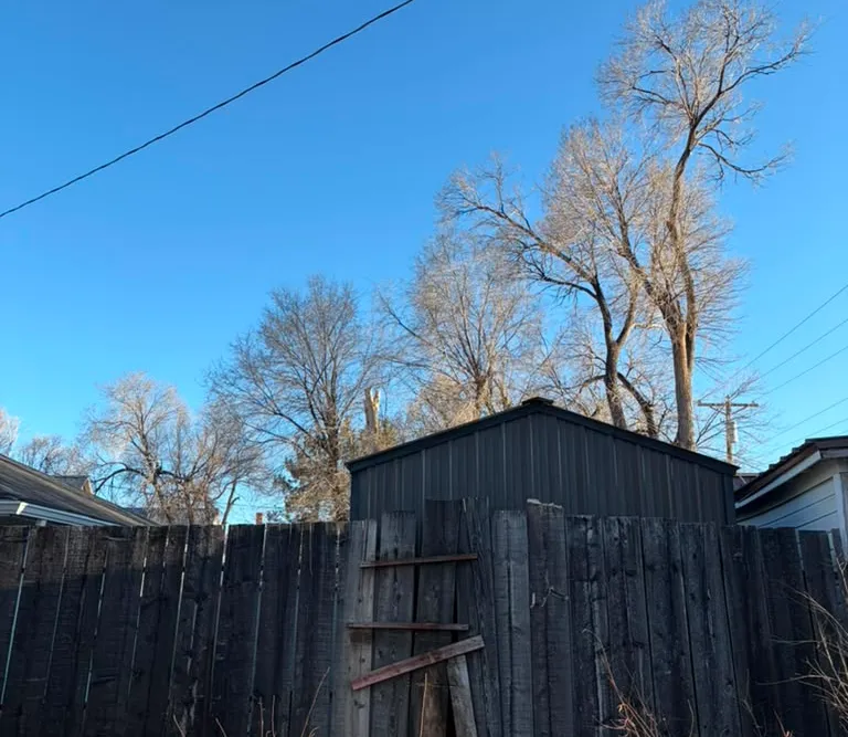The same Las Vegas, NM property after tree removal
