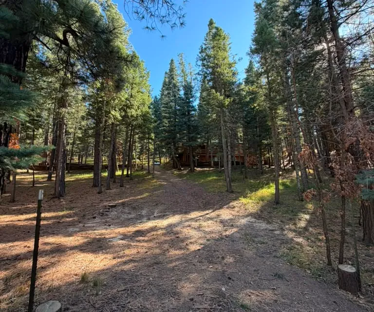 The same Las Vegas, NM driveway cleared after storm cleanup