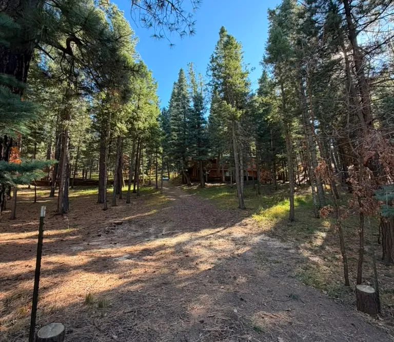 The same Las Vegas, NM driveway cleared after storm cleanup