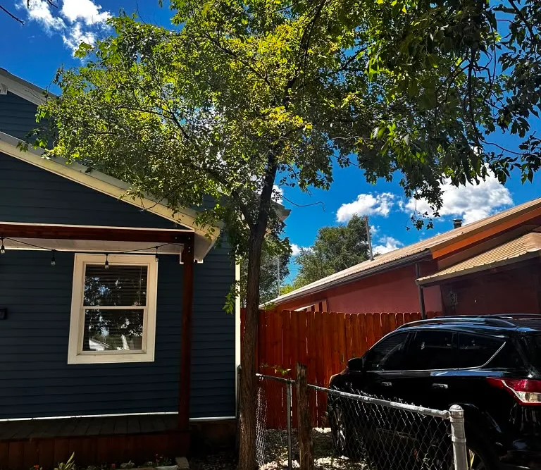 A tree before removal near a home in Las Vegas, NM