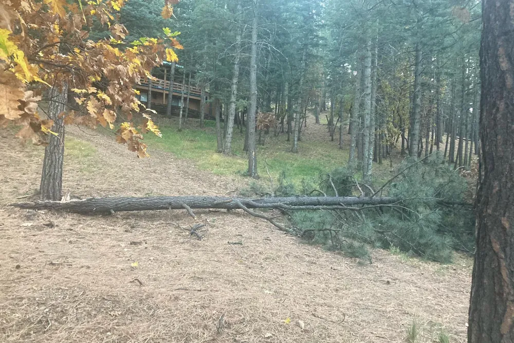 A fallen tree blocking a driveway near a cabin in Las Vegas, NM