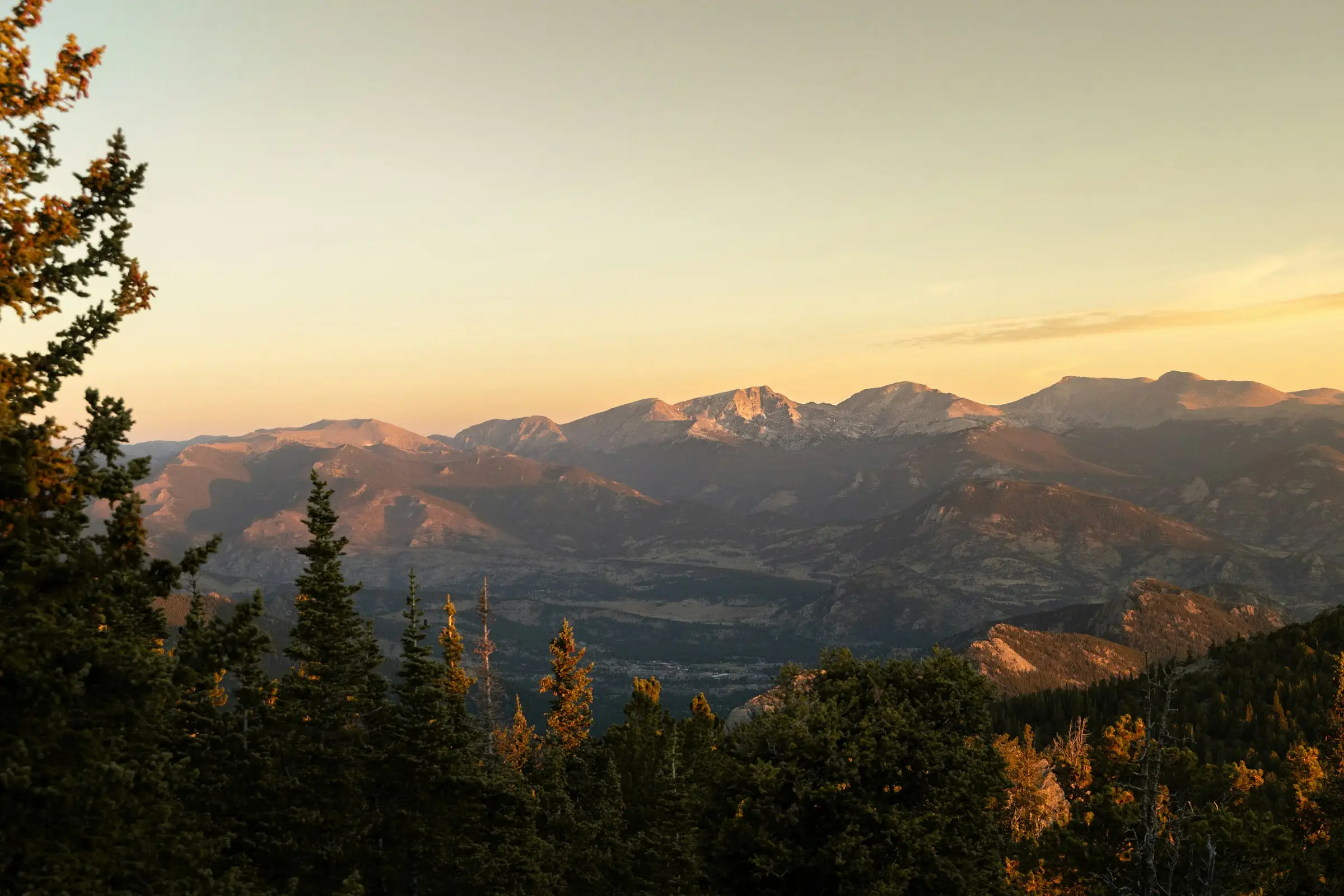 Pine forest and mountain range in Northern New Mexico